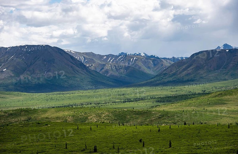 Tundra and mountain landscape with dramatic cloudy sky, Denali National Park, Alaska, USA