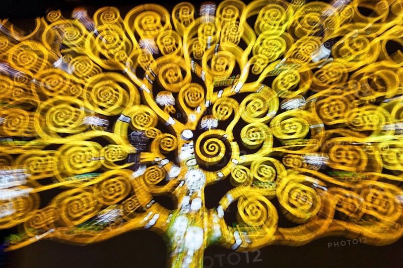Tree of life, swirling patterns, spirals, gold, yellow, immersive exhibition, digital art, colorful projections on walls, Gustav Klimt, motion blur, art museum, Port des Lumieres, Westfield Überseequartier, Hafencity, Hamburg, Germany