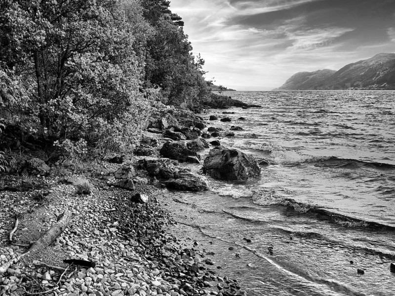 Rocky shore with trees, mountains on the horizon, Loch Ness, monochrome, Great Glen, Scottish Highlands, Scotland, Great Britain