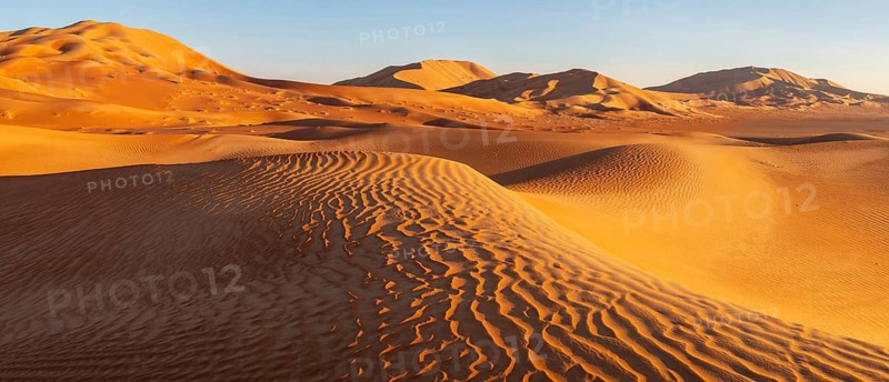 Sand dunes in the Rhub al Khali desert, empty quarter, largest sandy desert in the world, Oman