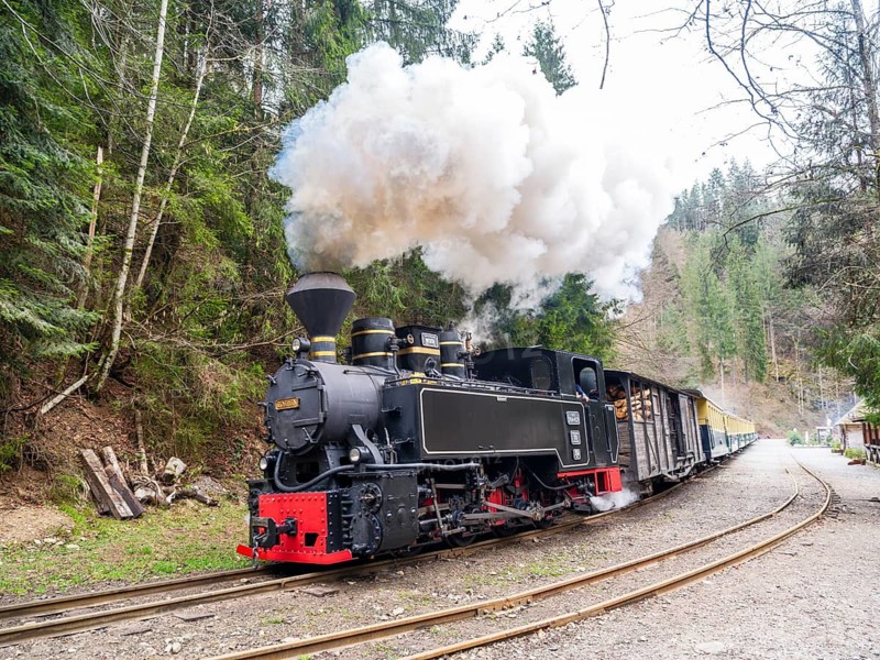 Mocani?a Water Valley Railway Steam Locomotive, Viseu de Sus, Maramure?, Romania