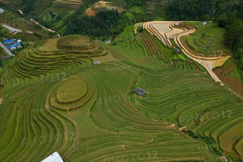 Aerial view of rice terraces just in front of setting the new rice near Mù Cang Ch?i, Mu Cang Chai District, Lào Cai Province, North Vietnam, Vietnam