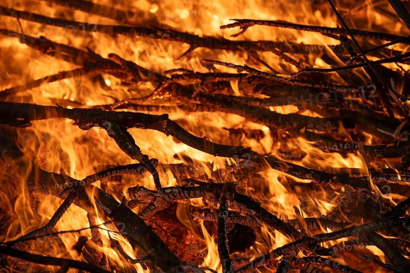 Burning branches with blazing flames and intense embers, Finland