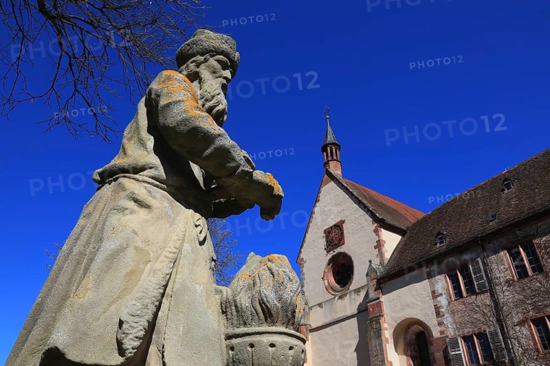 Bronnbach Abbey, Brunnbacensis Monasterium, later also Bronnbach Castle, a former Cistercian abbey founded in 1151, Tauber Valley, Reicholzheim, Main-Tauber district, Baden-Württemberg, Germany