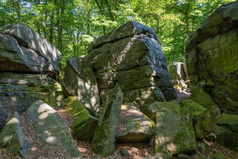 Rocks in green beech forest, Ore Mountains, Czech Republic, May 2024