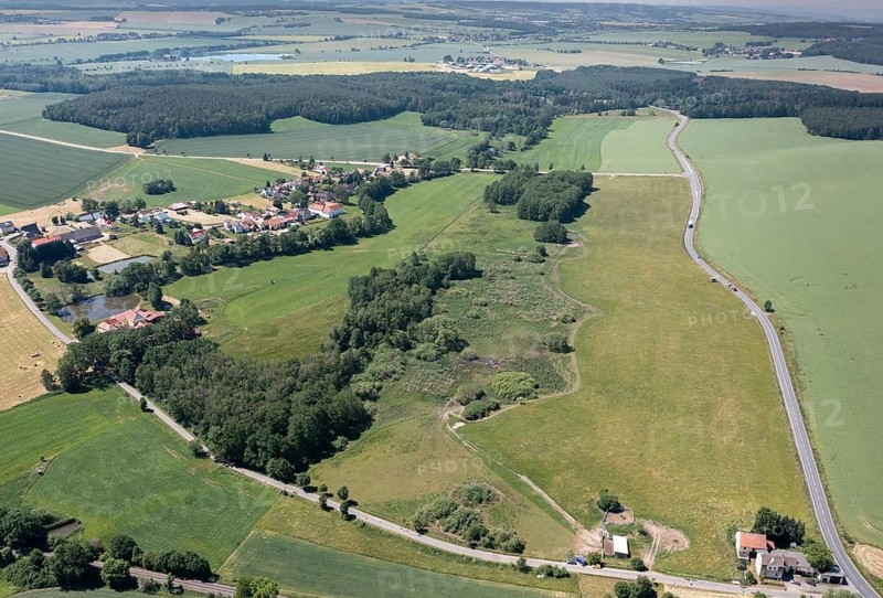 Artiodactyla, Bubalus Arnee, Even-Toed Ungulate, Frießnitzer See-Struth, Germany, Greiz, Paarhufer, Thuringia, water buffalo, water buffalo, aerial view, grazing, domesticated animals, extensive grazing, pet, landscape, aerial view, mammals, nature reserve, mammals, water buffalo willow