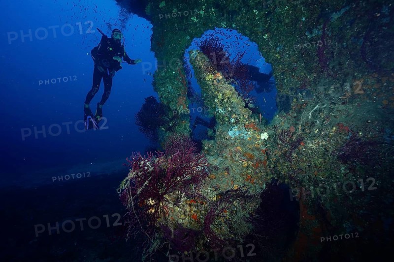 Diver explores a coral-covered underwater wreck, Le Grec wreck dive site, Giens Peninsula, Provence Alpes Côte d'Azur, France