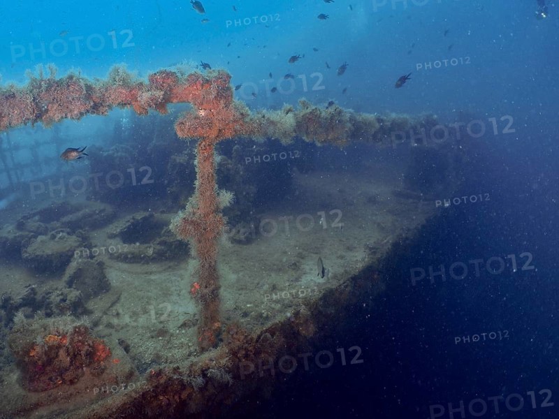 The ship deck of a sunken wreck is lying on the seabed in murky water, dive site wreck of the Vis, Pula, Croatia, Mediterranean
