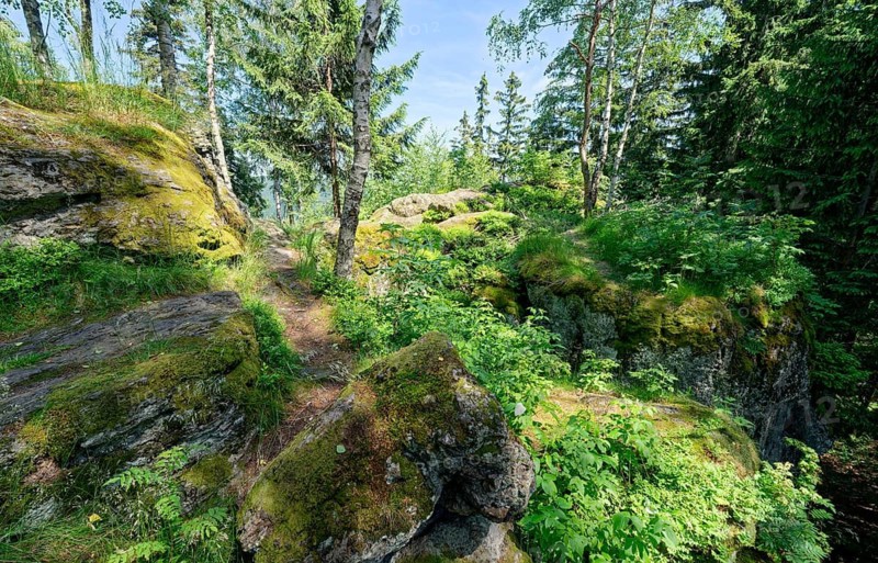 The mother-in-law rock, Skala Tesciowej, is a rock formation from Hornfels in the Jizera Mountains, Gory Izerskie. The Jizera Mountains are part of the Sudetes. Szklarska Poreba, Szklarska Poreba, Lower Silesia, Poland
