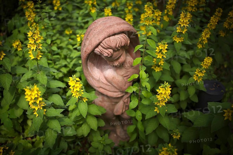 Terracotta statue, girl, between spotted loosestrife (Lysimachia punctata), also known as spotted loosestrife, garden, Stuttgart, Baden-Württemberg, Germany