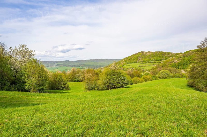 View over the hills with forests and meadows with blooming cherry trees on a sunny day in spring, Horna Suca, Slovakia
