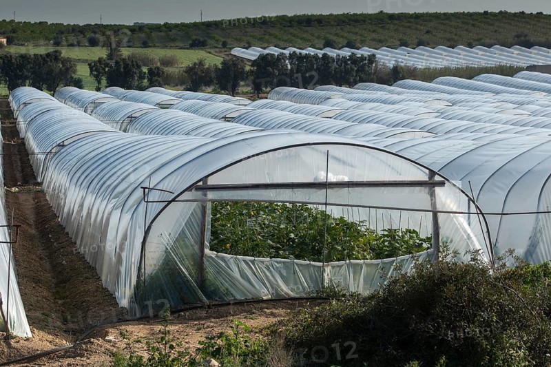 Granelli, Italy, cultivated landscape, vegetable growing, greenhouse, industrial agriculture, intensive agriculture, Italy, cultural landscape, Sicily