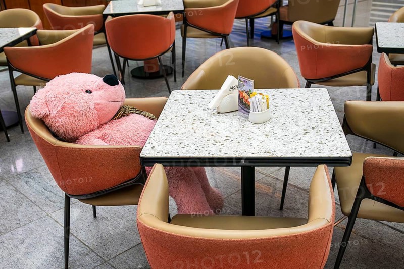 Arto Coffee pink plush bear, Dubai, United Arab Emirates, UAE