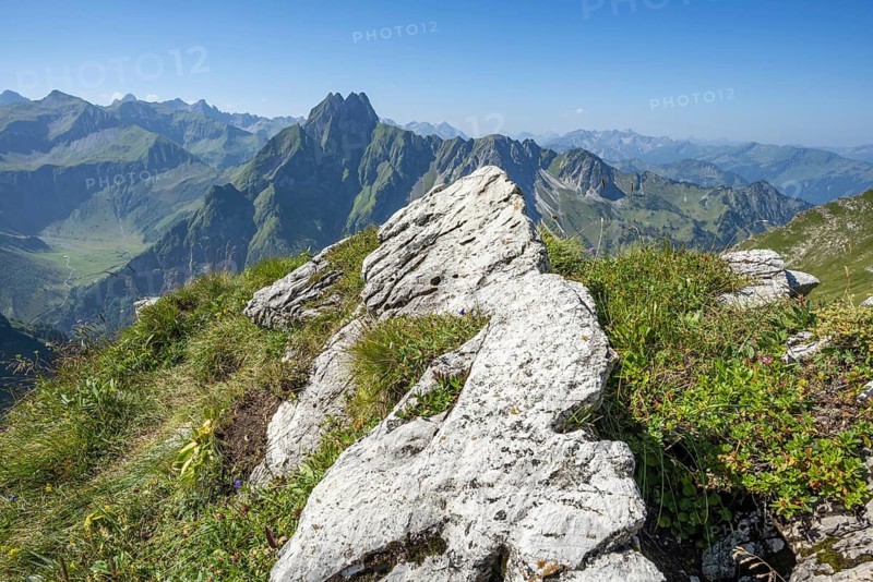 Mountain panorama from Laufbacher-Eckweg to Höfats 2259m, Allgäu Alps, Allgäu, Bavaria, Germany
