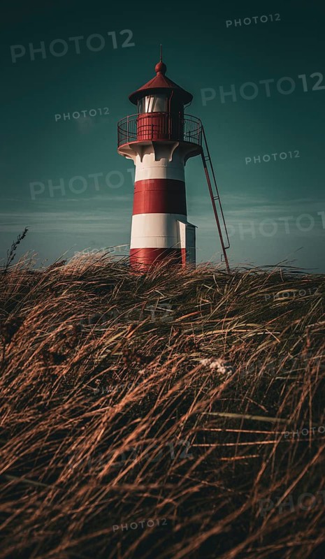 A lighthouse rises above grassy fields at an atmospheric dusk, Grisetaodde lighthouse, Neno Sound in the Limfjord, North Jutland, Denmark