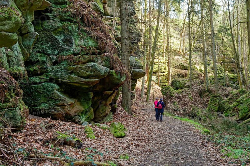 Hiking in Uttewalder Grund, rocky valley near Lohmen, gorge, rock formation, hiking, excursion destination, Malerweg, Lohmen, Elbe Sandstone Mountains, Saxon Switzerland, Saxony, Germany