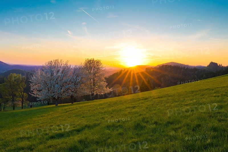 View of Ružák, Rosenberg, across the spring-like Bohemian Switzerland with blooming fruit trees, cherry trees, Rynartice, Bohemian Switzerland National Park, Czech Republic