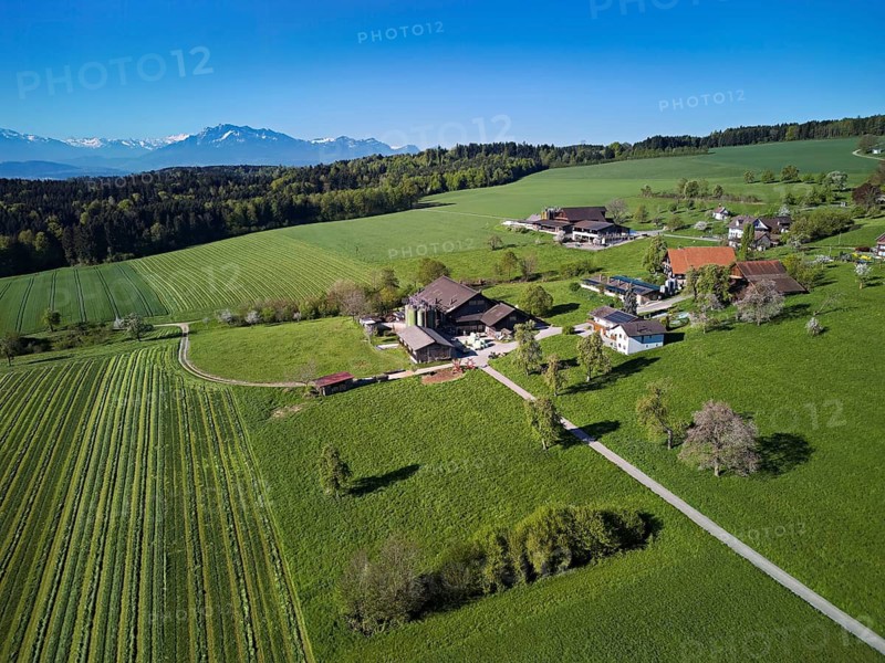 Farms in the hamlet of Holderstock behind the snow-capped Alps and Mount Pilatus, Sins, Freiamt, Canton Aargau, Switzerland