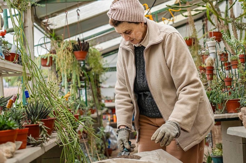 Older woman in pink knit headband and gray gardening gloves concentrates while using a trowel to scoop potting soil from a cloth mat on a step stool, surrounded by succulents and hanging plants