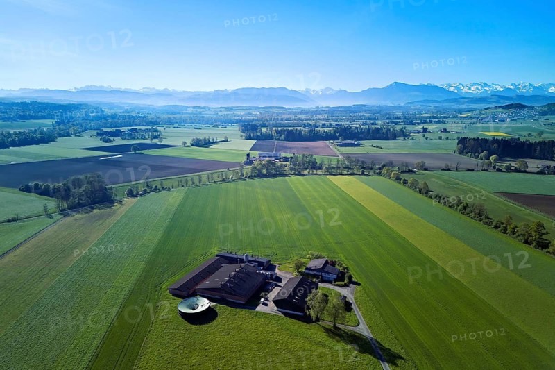 Farmhouse surrounded by meadows and fields, with the snow-capped Alps and Mount Rigi in the background, Merenschwand, Reusstal, Freiamt, Canton of Aargau, Switzerland