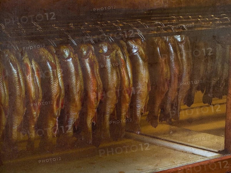 Fish in a smoker