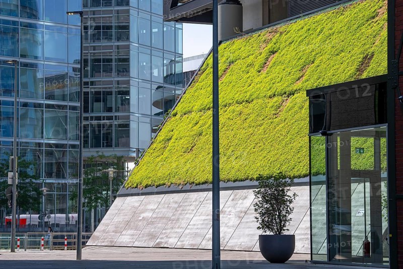 Green wall, façade of a building on Franziusstraße in the media harbor in Düsseldorf, North Rhine-Westphalia, Germany
