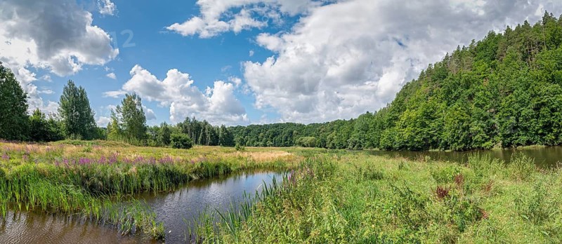Elsteraue Dölau, Germany, Greiz, Thuringia, Weiße Elster, landscape, summer, summer, Vogtland