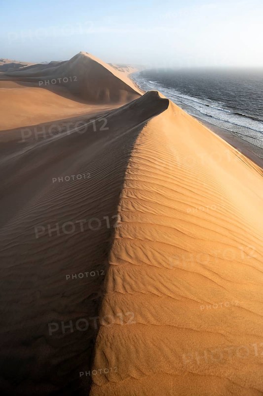 Sand dunes with wave patterns and sea in evening light, wind blowing sand across the dunes, Atlantic coast and sandy desert with sea of dunes, impressive desert landscape at sunset, Sandwich Harbour, Namib Naukluft Park, Namib Desert, Namibia