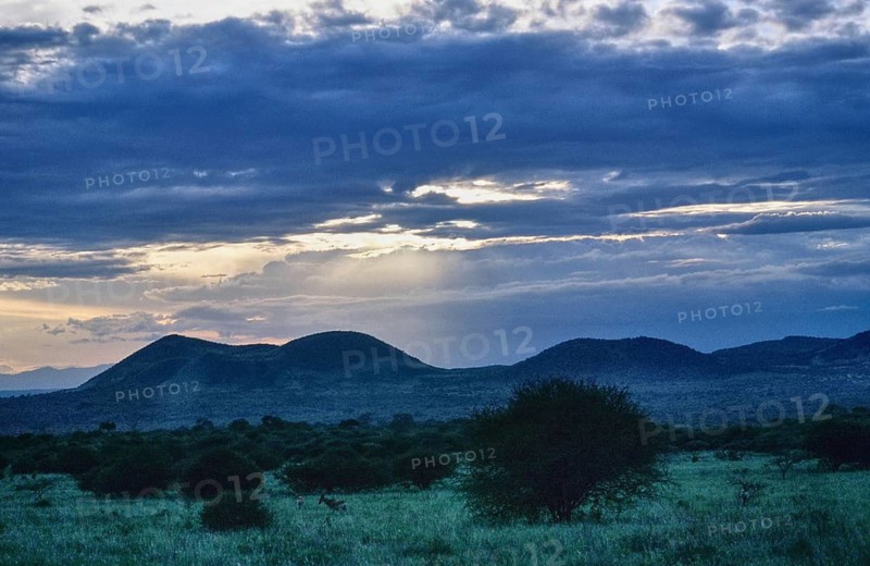 Wide savanna landscape in the Tsavo National Park with isolated trees and shrubs in the foreground. Round hills rise in the distance as sunbeams break through the thick clouds and bathes the scene in dramatic light, Tsavo National Park, Kenya
