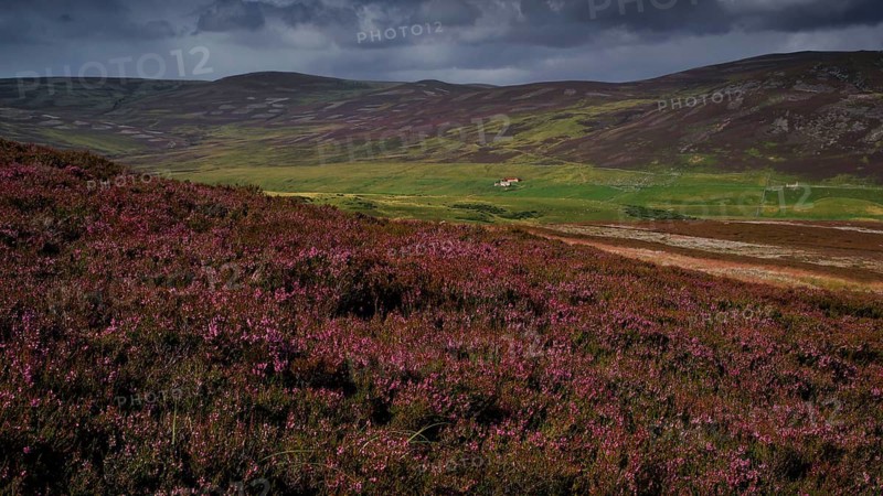 Europe, Scotland, Great Britain, England, landscape, CairnGorm Mountains, mountain group, Cairngorm Mountains