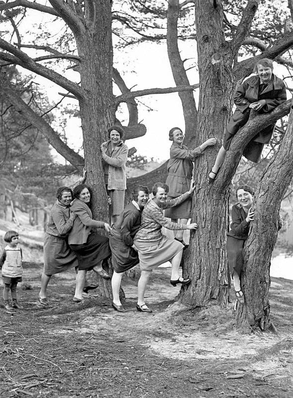 A group of woman pose with trees. Some climb the tree, funny, funny, historical, 1930s, exact location unknown, Germany