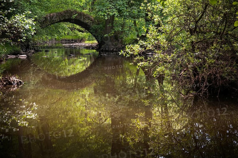 Aumatal, Germany, Greiz, Thuringia, bridge, bridge, flowing water, river, landscape, nature reserve, nature reserve, river