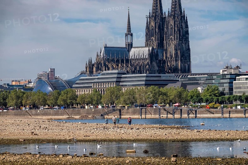 Low water in the Rhine near Cologne, view from the right bank of the Rhine at the Rheinpark to the south, city center with the cathedral, inland navigation is severely restricted, only a few ships sail, then with a significantly reduced load, on the day of recording it was the lowest Rhine level ever measured in Cologne, 60 cm, North Rhine-Westphalia, Germany