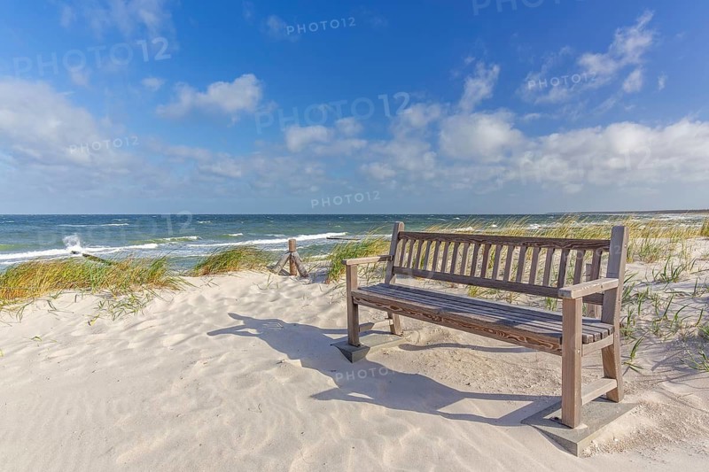 Public wooden bench in the dunes along the Baltic Sea on the Fischland-Darss-Zingst peninsula, Mecklenburg-Vorpommern, Germany