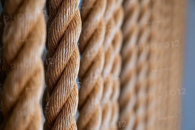 Close-up of several twisted thick ropes hanging close together, Strandingsmuseum St. George, North Sea coast, Thorsminde, Denmark