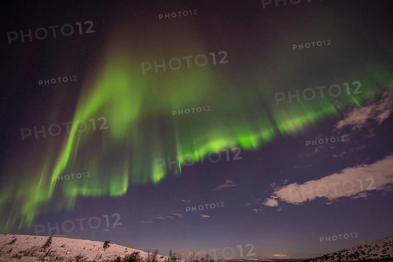 Northern Lights (Aurora borealis) and moonlight, Dundret Nature Reserve, Norrbotten, Lapland, Sweden, November 2022