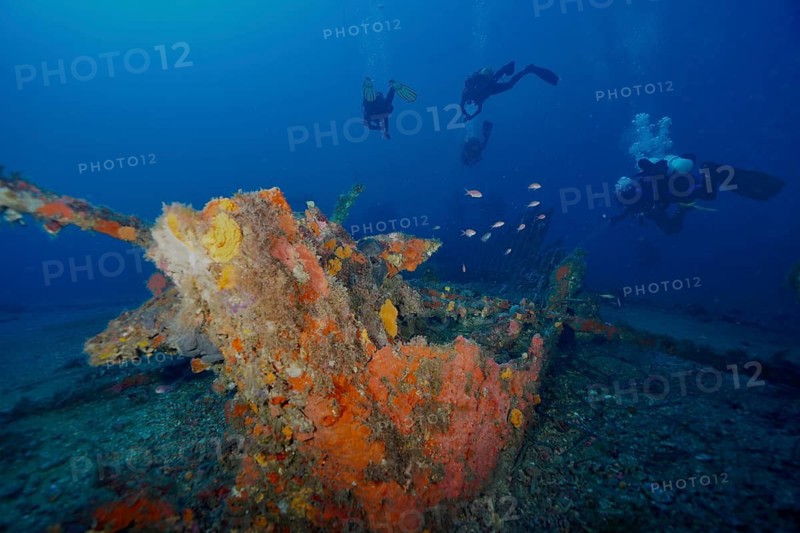 Divers explore an overgrown shipwreck in deep blue water, dive site Wreck Ville de Grasse, Hyères, Giens Peninsula, Mediterranean Sea, Porquerolles, Provence, Côte d'Azur, France