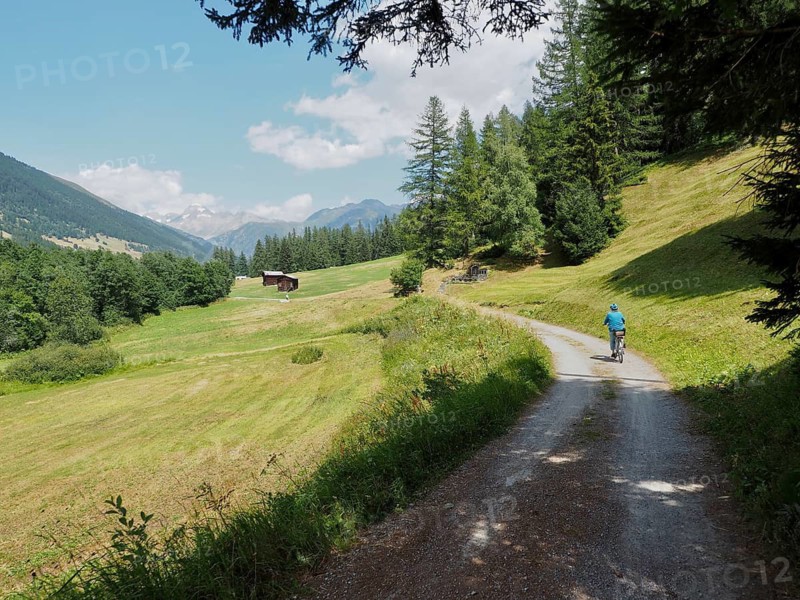 A shady path through the forest along which a female cyclist rides, surrounded by green nature, Rottenweg, Goms, Canton of Valais, Switzerland