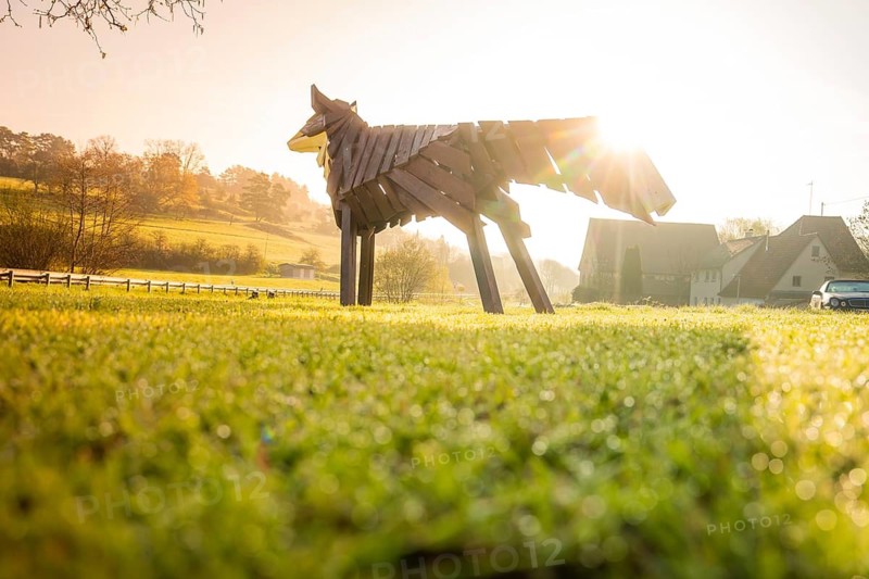 Wooden sculpture of a wolf in a meadow in the backlight of the rising sun, Dachtel, Aidlingen, Heckengäu region, Germany