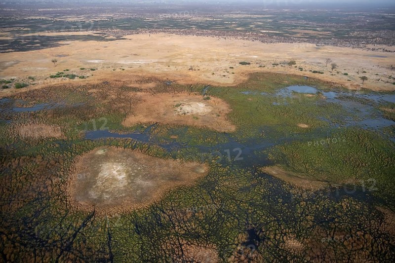Wetland, landscape, aerial view of the Okavango Delta, near Maun, Okavango Delta, Botswana