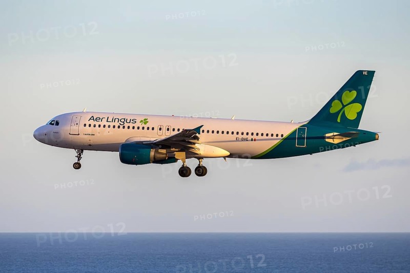An Aer Lingus Airbus A320 aircraft with the license plate EI-DVE at Tenerife Airport, Spain
