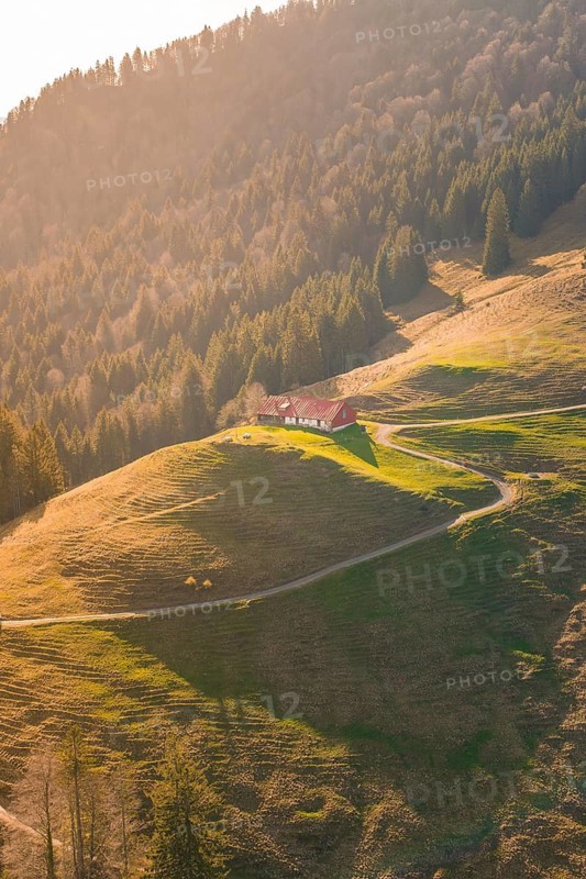 A house on a hill in the evening light, surrounded by forests and mountains, Allgäu, Bavaria, Germany