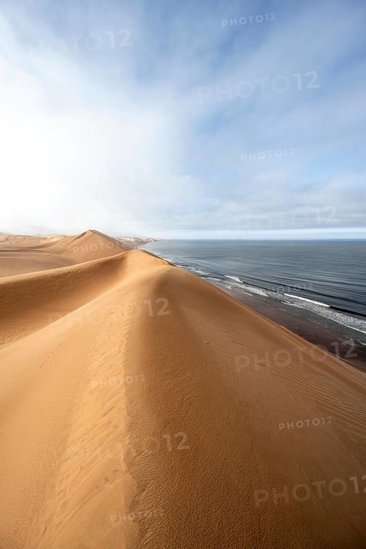Sand dunes and sea in morning light, Atlantic coast and Namib desert, impressive desert landscape, Sandwich Harbour, Namib Naukluft Park, Namibia