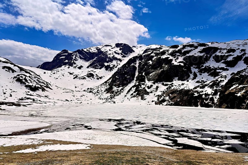 Ice floes drift in the half-frozen upper Murgsee, in the foreground, white flowering spring crocuses (Crocus vernus), Murg Valley, Canton of St. Gallen, Switzerland