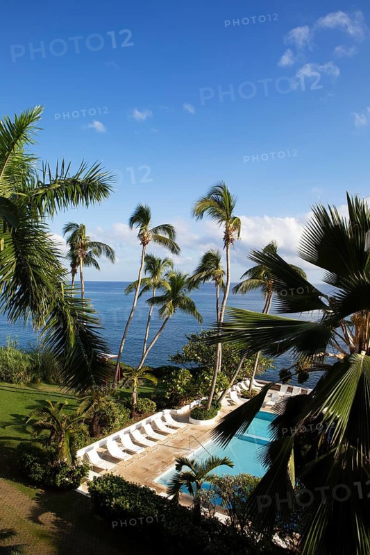 Palm trees and pool at Couples Tower Isle Resort on the Caribbean Sea near Ochos Rios, Saint Ann Parish, West Indies, Caribbean, Central America