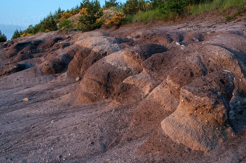 2008, Brandenburg, Germany, Nabu, Nabu Project, national natural heritage, natural paradise Grünhaus, Nordrandschlauch, post-mining landscape, Grünhaus, landscape