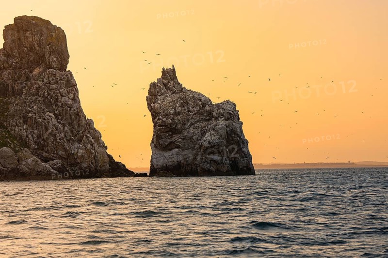Two big rocks in the sea during sunset, birds flying around, Howth, Ireland