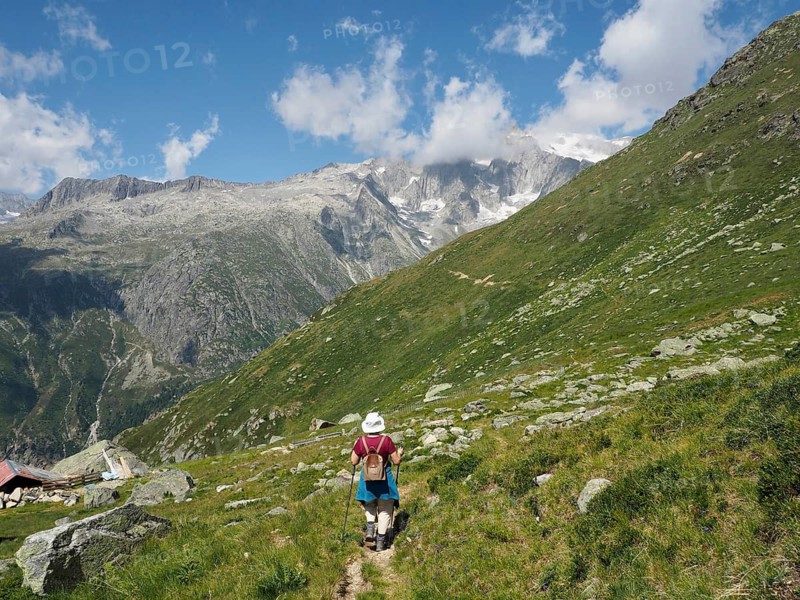 Person hiking along a green mountain trail with a view of snow-capped peaks, Bellwald, Goms, Canton of Valais, Switzerland