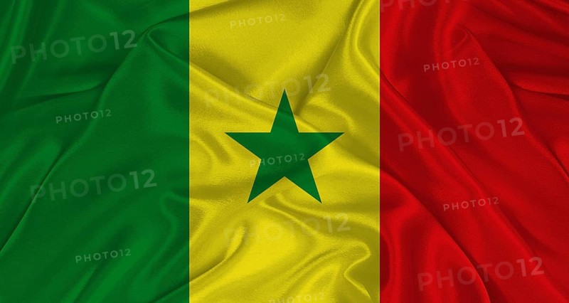 Senegalese flag with fabric texture. Realistic flag of Senegal waving, National flag