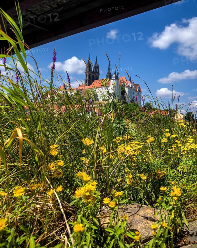 Burgberg with bishop's castle, Albrechtsburh and cathedral, Meissen, Saxony, Germany